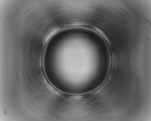 X0000099490810200805151405