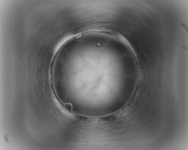 X0000099490811200805151405