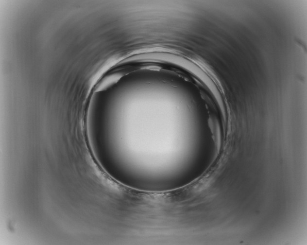 X0000099490813200805151405