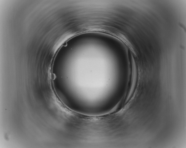 X0000099490814200805151405