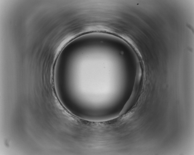 X0000099490815200805151405