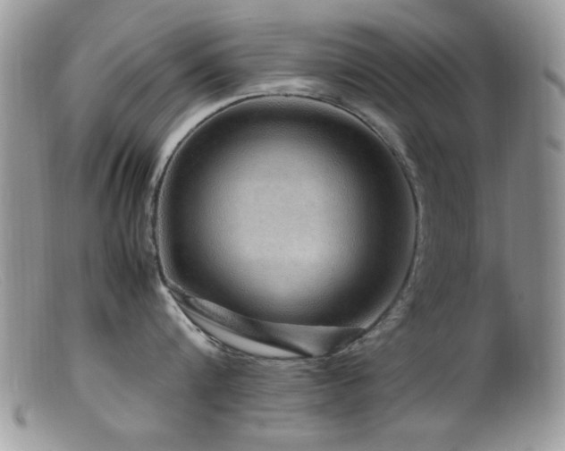 X0000099490816200805151405