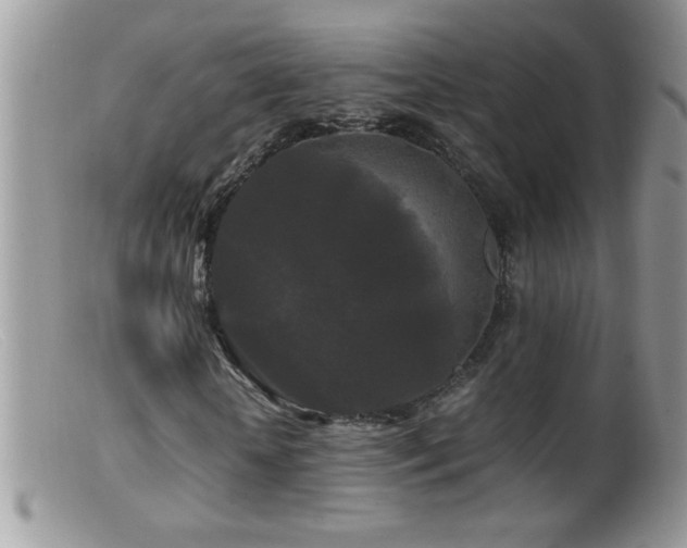 X0000099490818200805151404