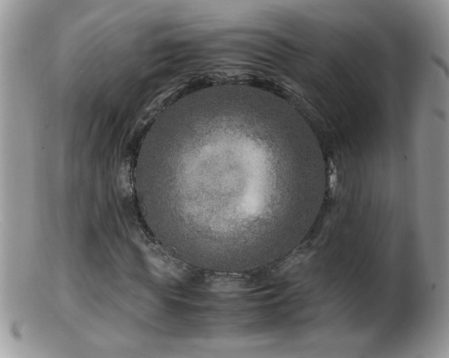 X0000099490819200805151404