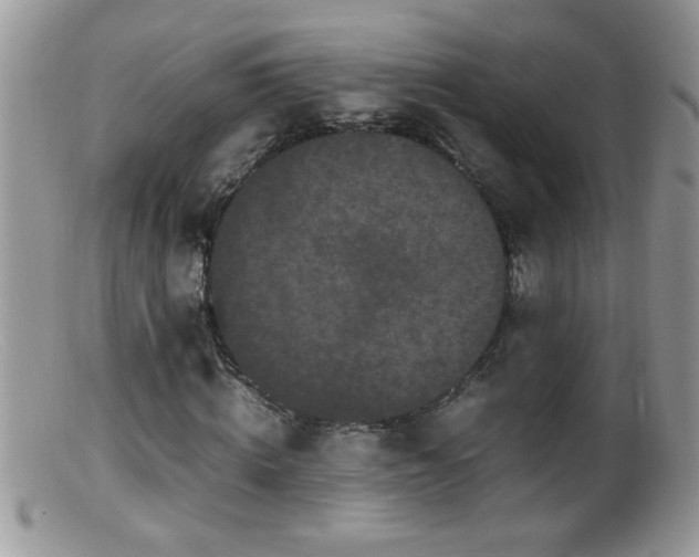 X0000099490820200805151404