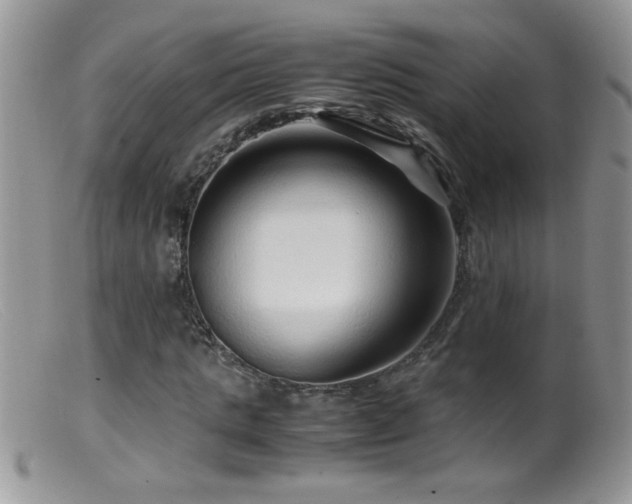 X0000099490821200805151404