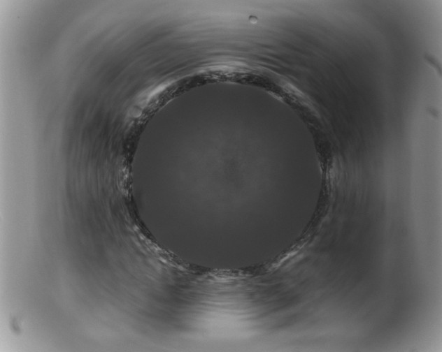 X0000099490822200805151404