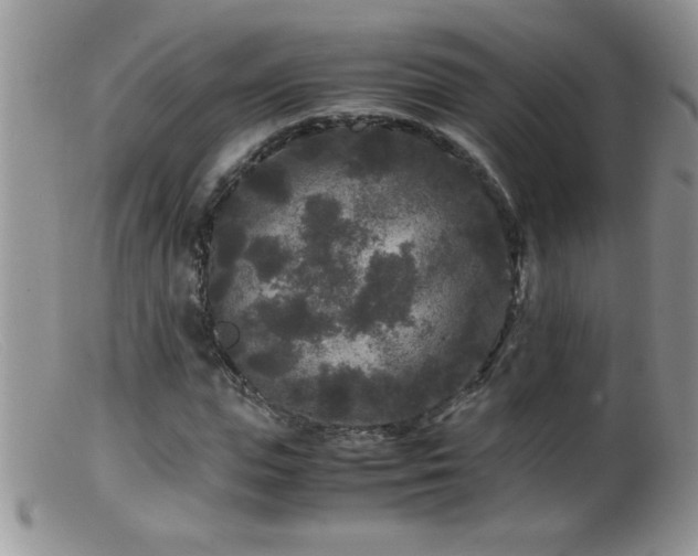 X0000099490823200805151404