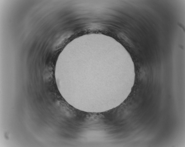 X0000099490824200805151404