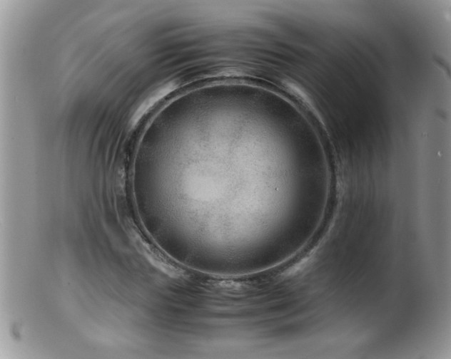 X0000099490827200805151404