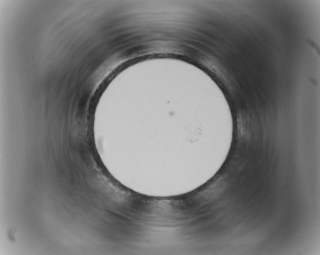 X0000099490828200805151404