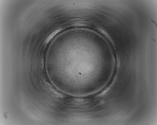 X0000099490829200805151404