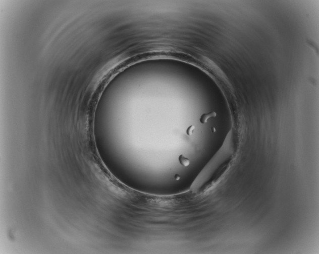 X0000099490831200805151404