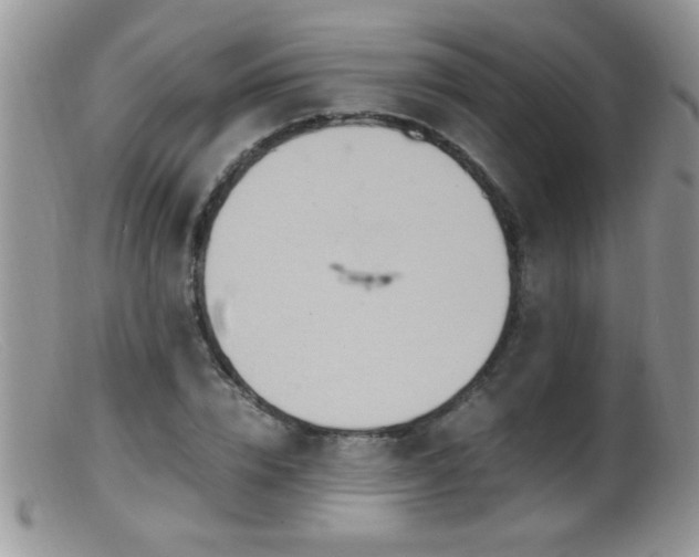 X0000099490832200805151404