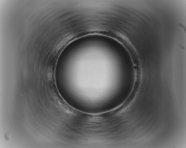 X0000099490833200805151404