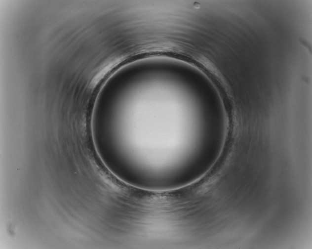X0000099490834200805151404