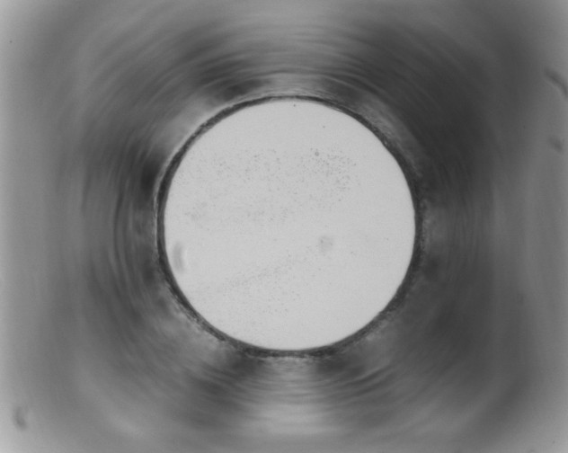 X0000099490836200805151404