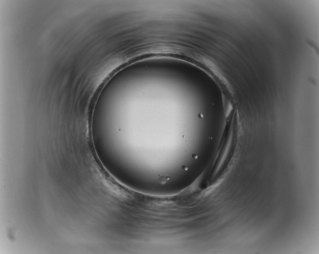X0000099490837200805151404