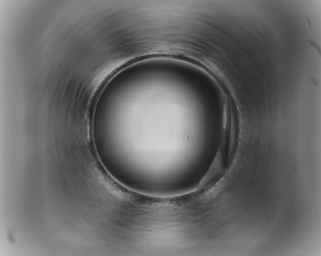 X0000099490838200805151404