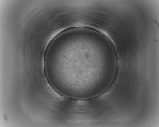 X0000099490839200805151405