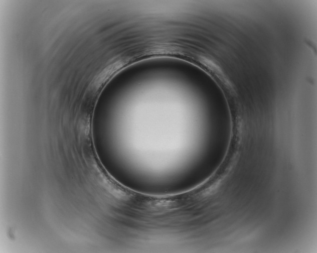 X0000099490841200805151405