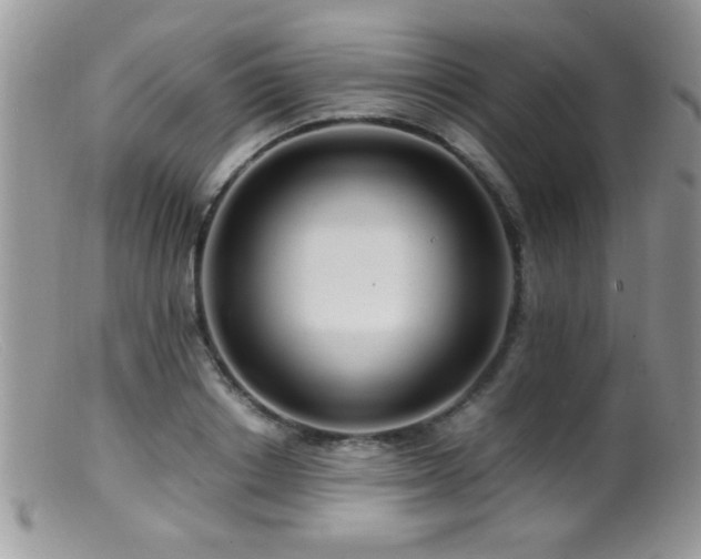 X0000099490842200805151405