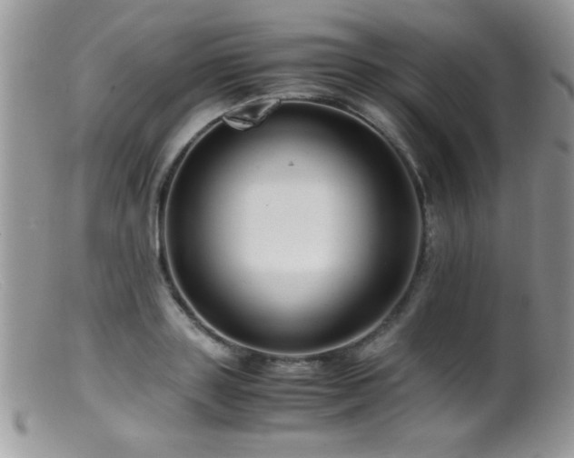 X0000099490843200805151405