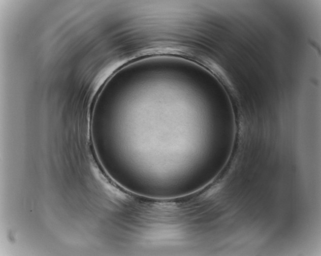 X0000099490844200805151405