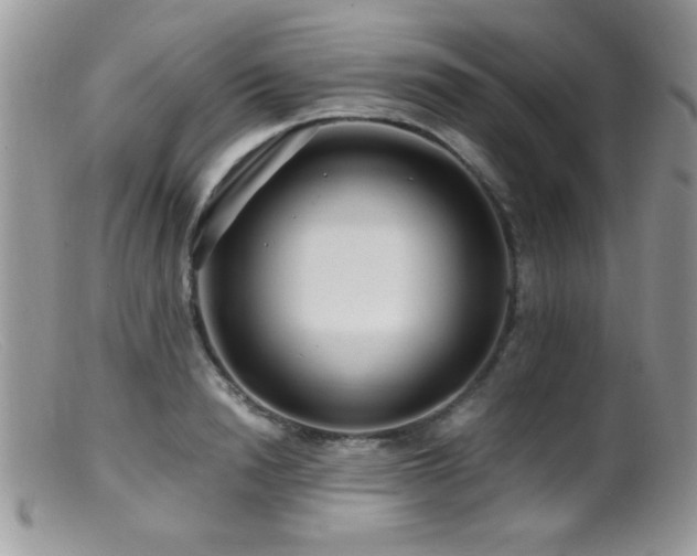 X0000099490846200805151405