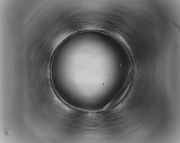 X0000099490847200805151405