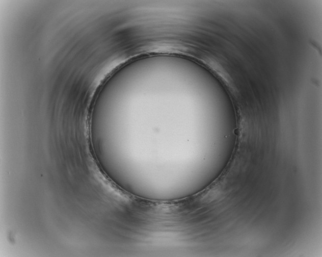 X0000099490848200805151405