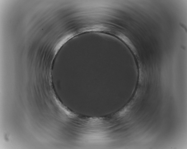 X0000099490850200805151405