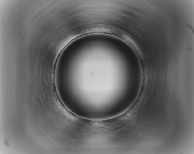 X0000099490852200805151405