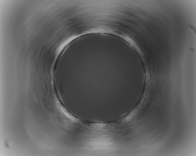 X0000099490854200805151405