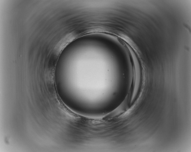 X0000099490857200805151405