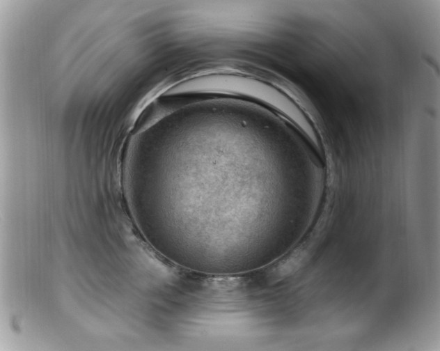 X0000099490858200805151405