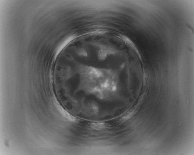 X0000099490859200805151405