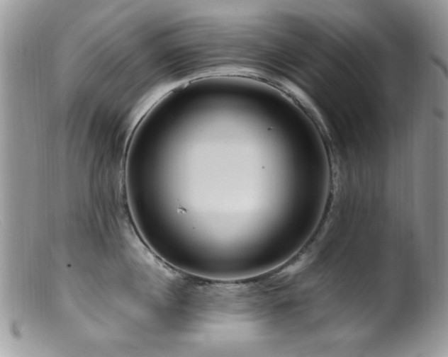 X0000099490860200805151405