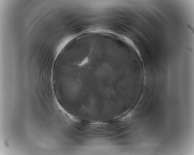 X0000099490863200805151405