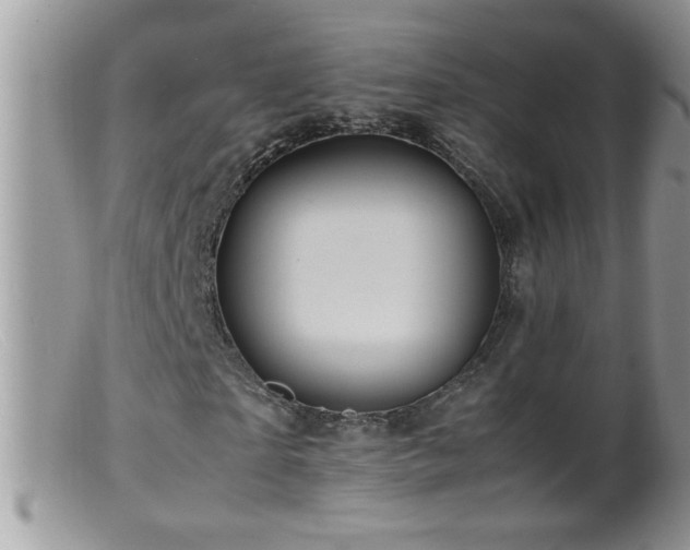 X0000099490865200805151404