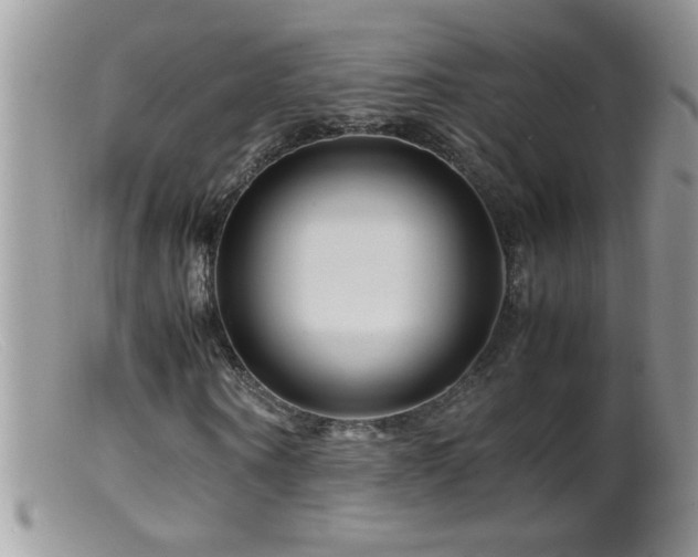 X0000099490866200805151404