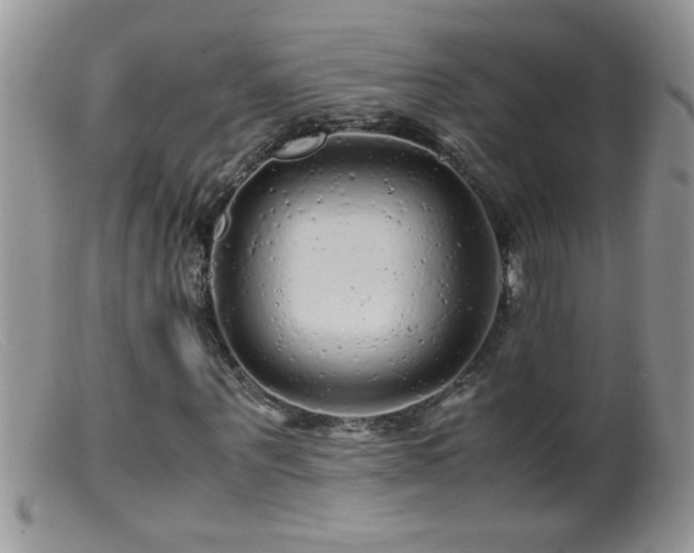 X0000099490867200805151404
