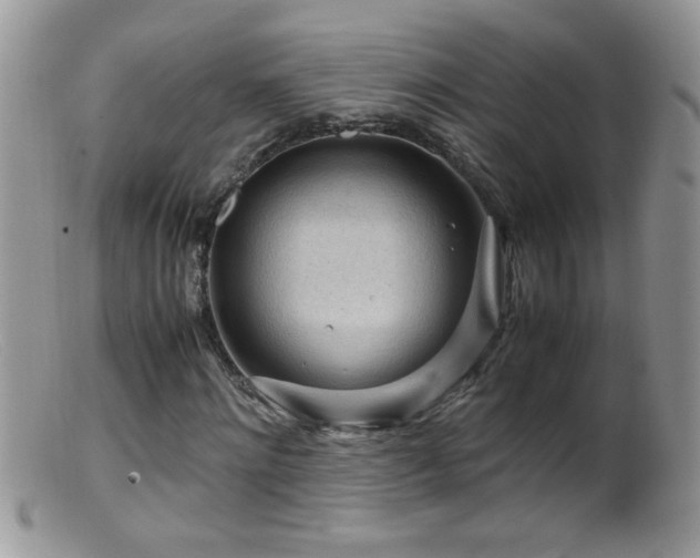 X0000099490868200805151404