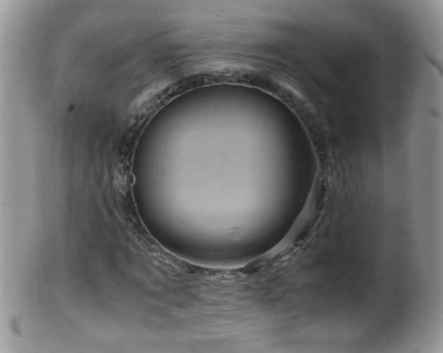 X0000099490869200805151404