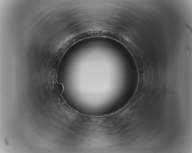X0000099490870200805151404