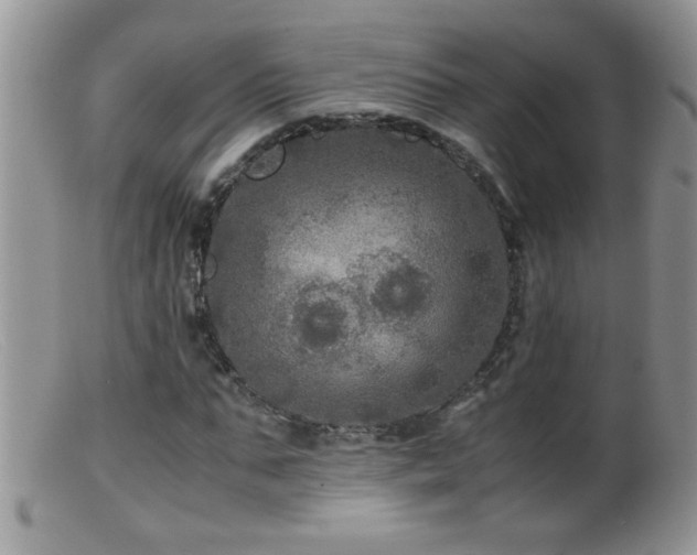 X0000099490871200805151404