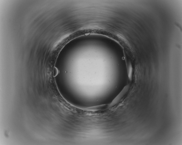 X0000099490872200805151404