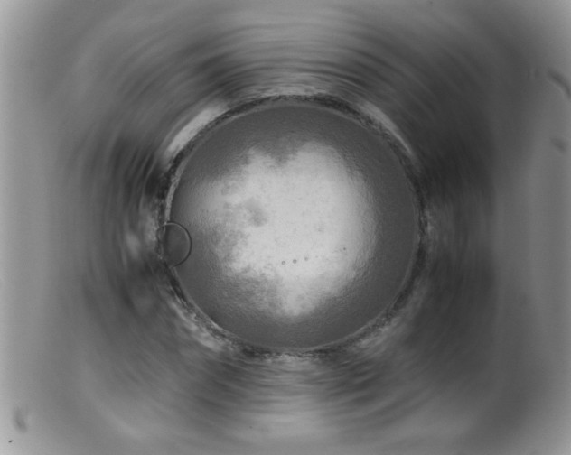 X0000099490874200805151404