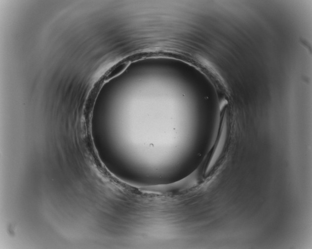 X0000099490876200805151404