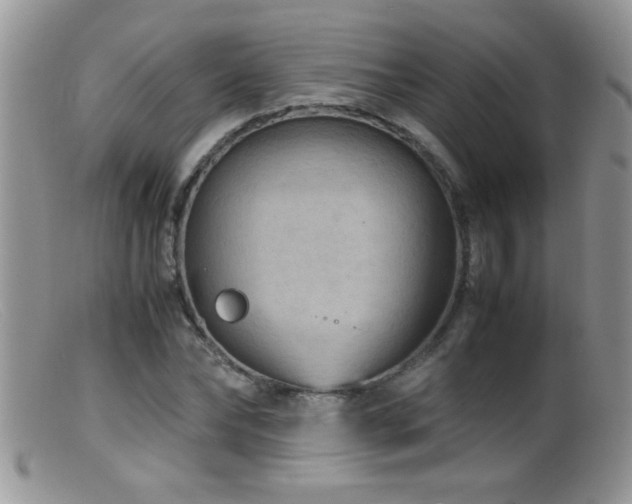 X0000099490878200805151404